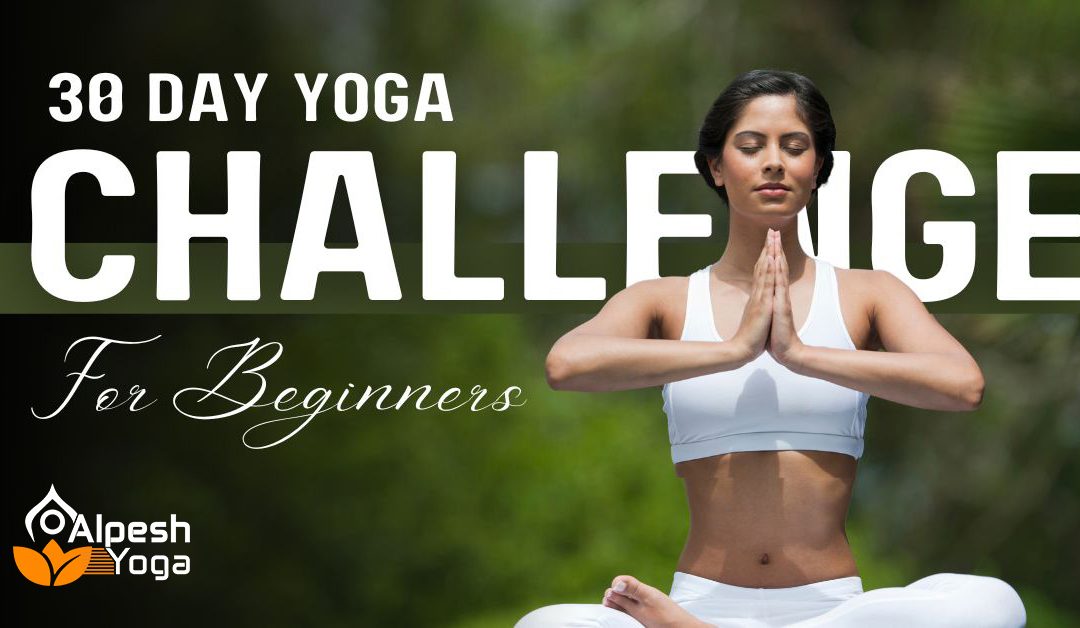 30 day challenge for beginner