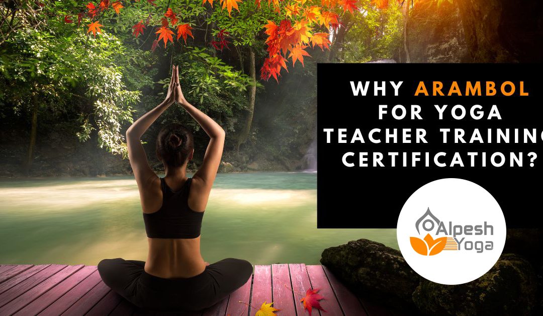 Why Arambol For Yoga Teacher Training Course