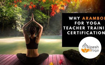 Why Arambol For Yoga Teacher Training Course