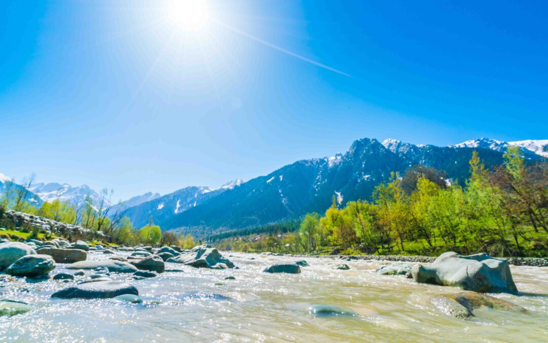 How to Choose Top Meditation School in Dharamshala?