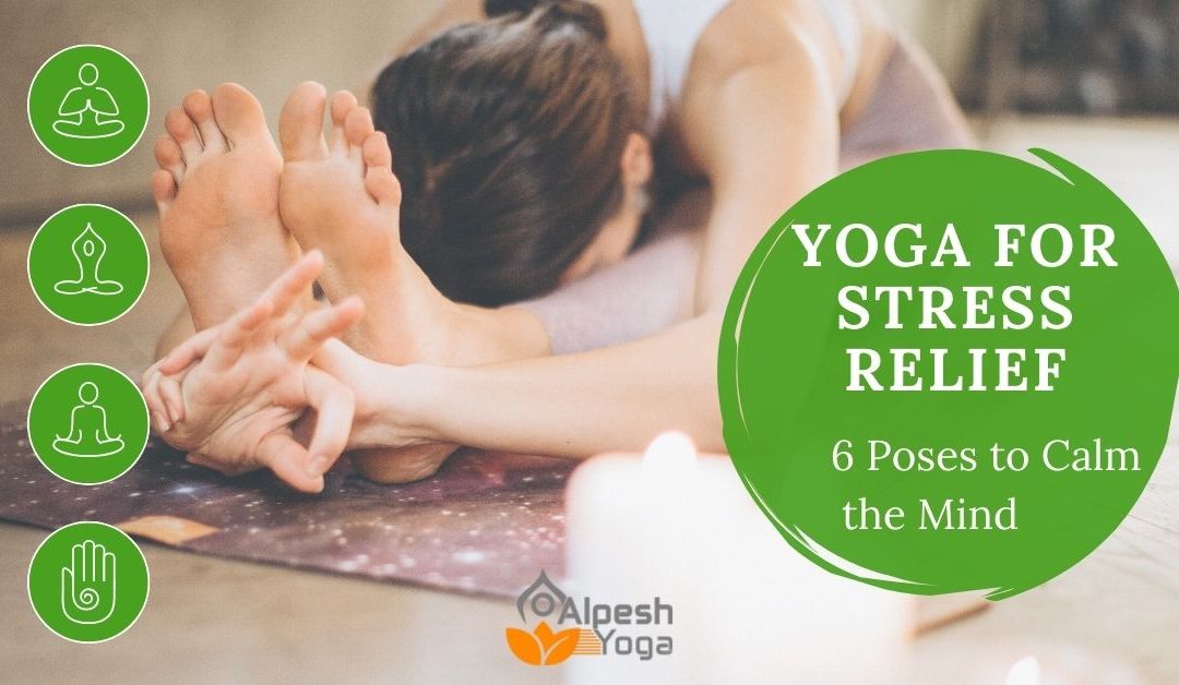 Yoga for Stress Relief: 6 Poses to Calm the Mind