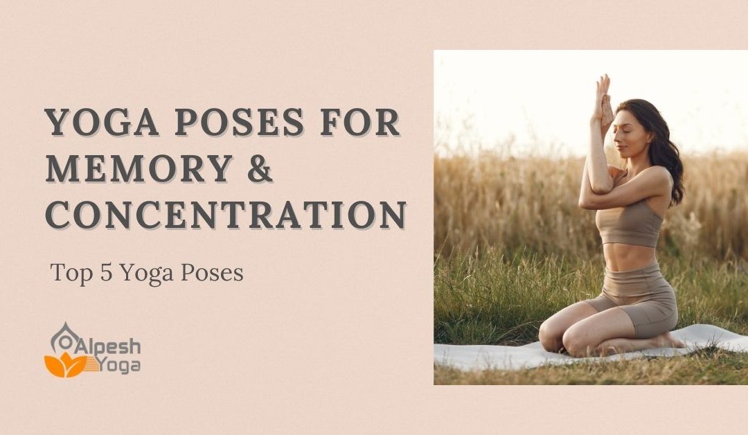 Yoga Poses for Memory & Concentration: Top 5 Yoga Poses
