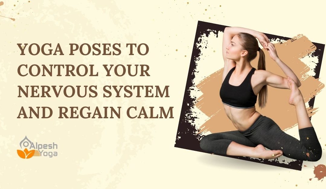 Yoga Poses to Control Your Nervous System and Regain Calm