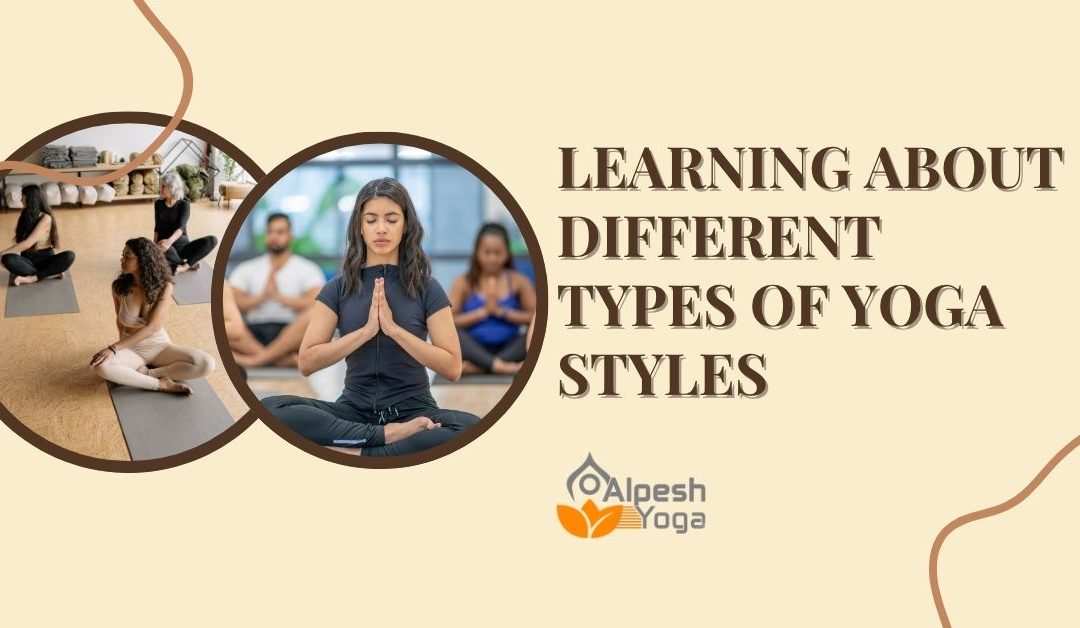 Learning About Different Types of Yoga Styles and the Best Multi-Style Program to Join