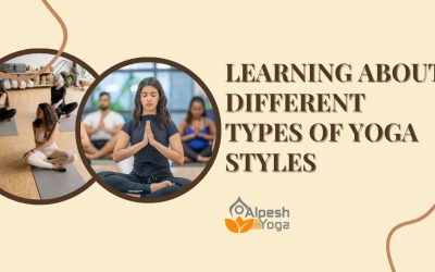 Learning About Different Types of Yoga Styles and the Best Multi-Style Program to Join