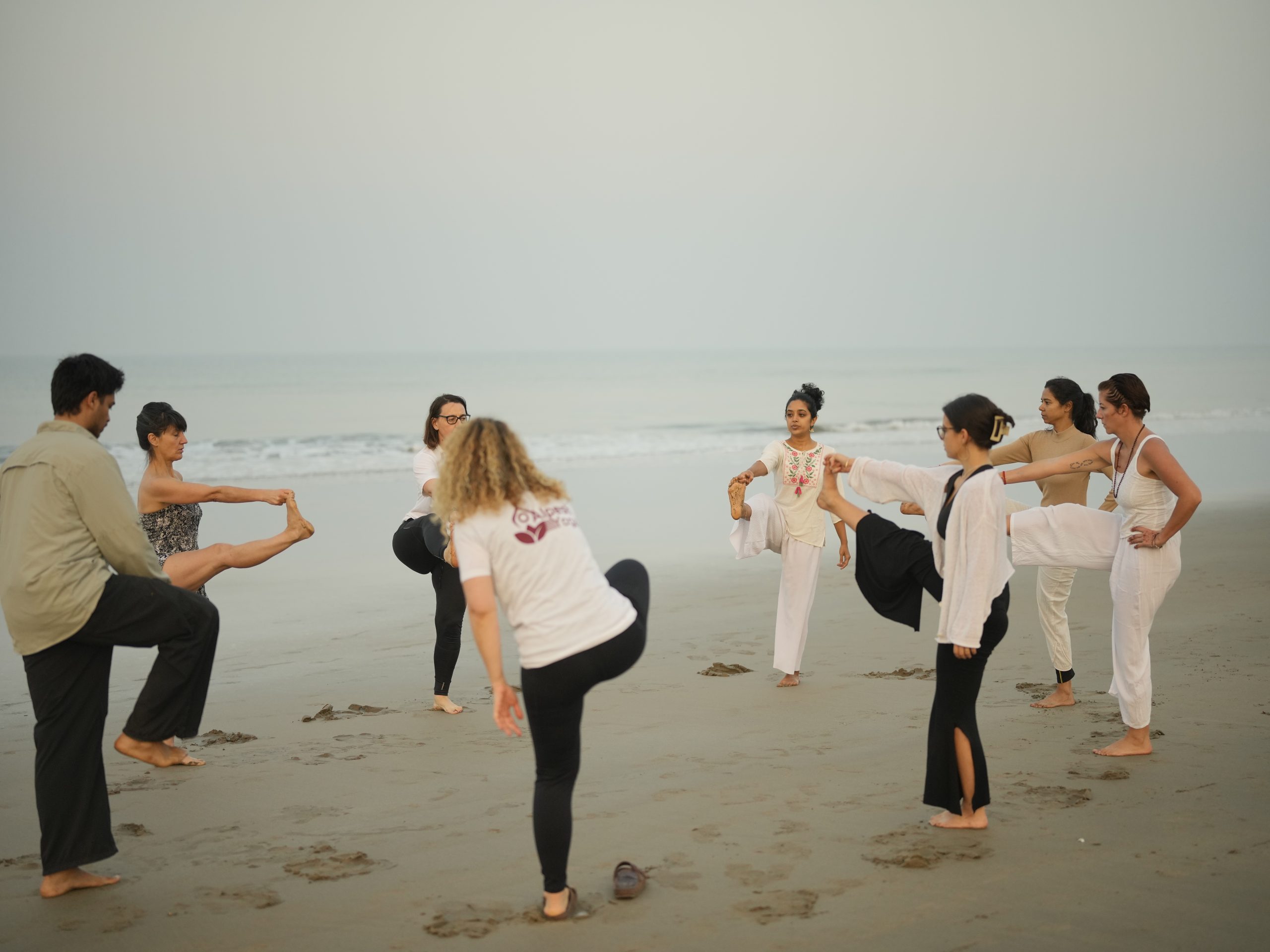 alpesh yoga 100 hour yttc